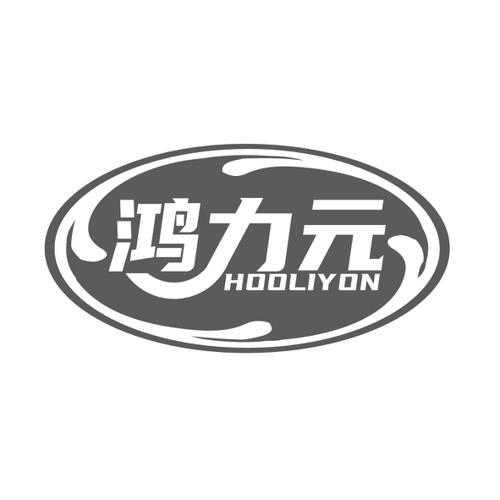 鸿力元HOOLIYON