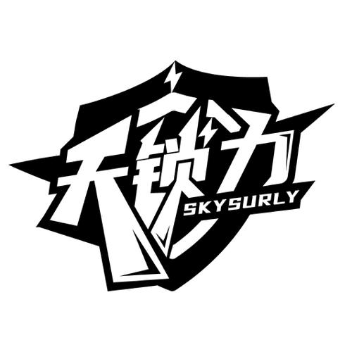 天锁力SKYSURLY