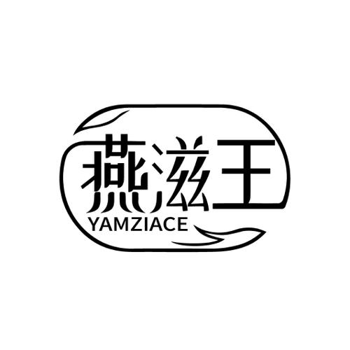 燕滋王YAMZIACE