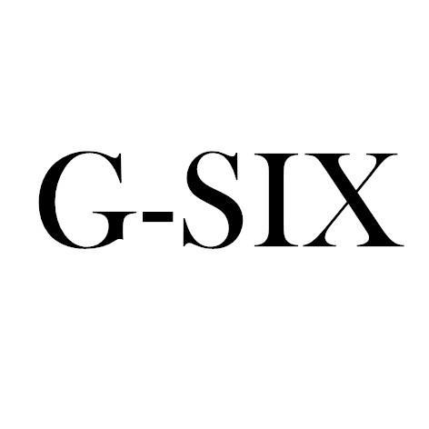 GSIX