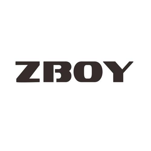 ZBOY