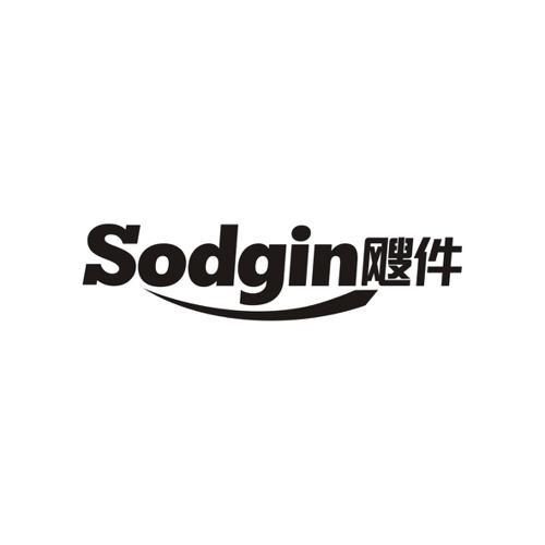 飕件SODGIN