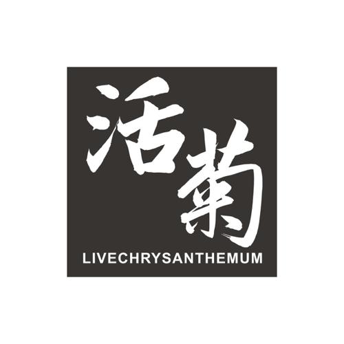 活菊LIVECHRYSANTHEMUM