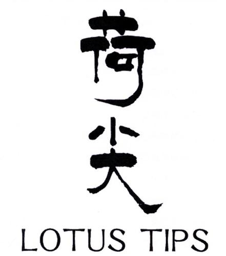 荷尖LOTUSTIPS