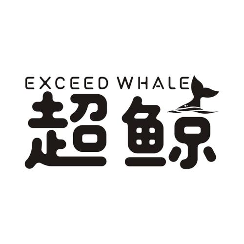 超鲸EXCEEDWHALE