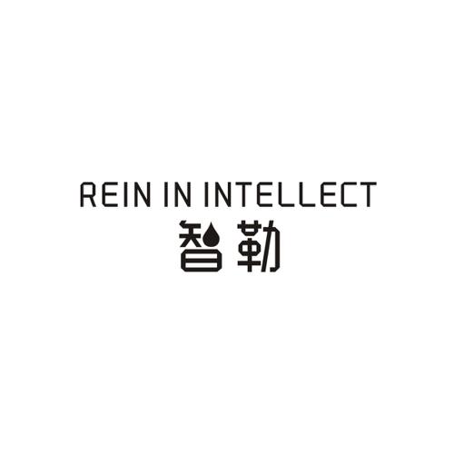 智勒REINININTELLECT