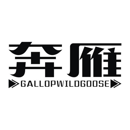 奔雁GALLOPWILDGOOSE