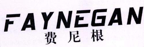 费尼根FAYNEGAN