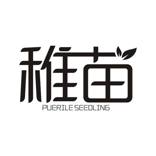 稚苗PUERILESEEDLING