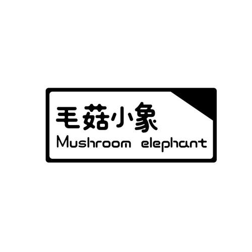 毛菇小象MUSHROOMELEPHANT