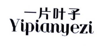 一片叶子YIPIANYEZI