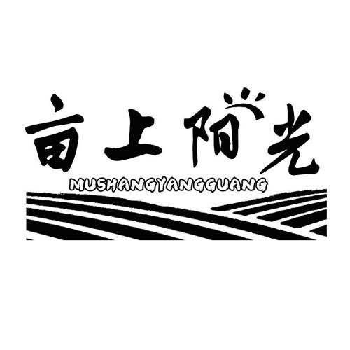 亩上阳光