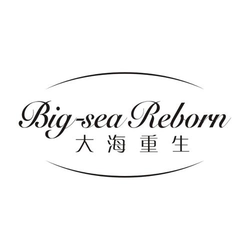 第3类商标-大海重生BIGSEAREBORN 大海重生BIGSEAREBORN