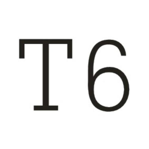 T6