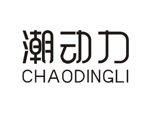 潮动力CHAODINGLI