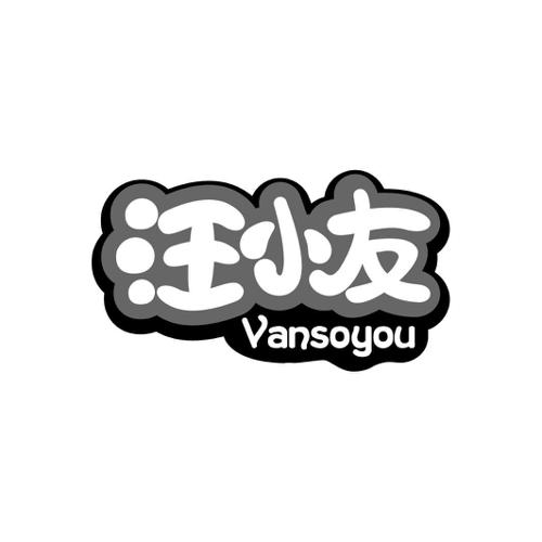 汪小友VANSOYOU