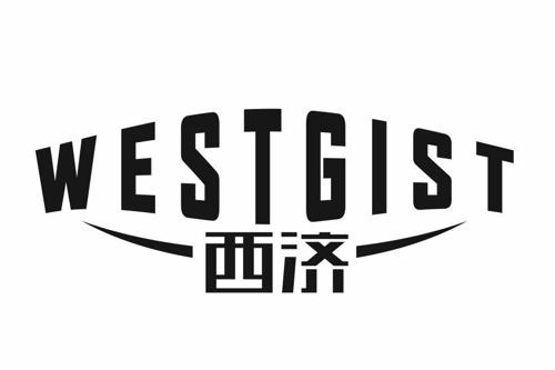 西济WESTGIST