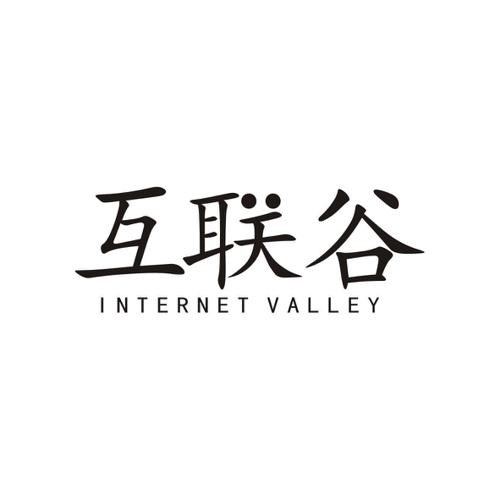 互联谷INTERNETVALLEY