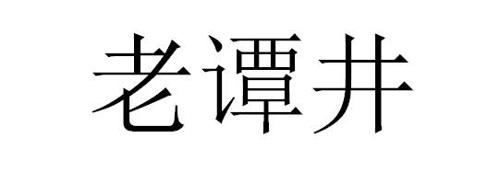 老谭井