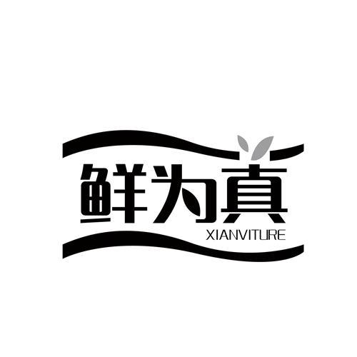 鲜为真XIANVITURE