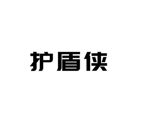 护盾侠