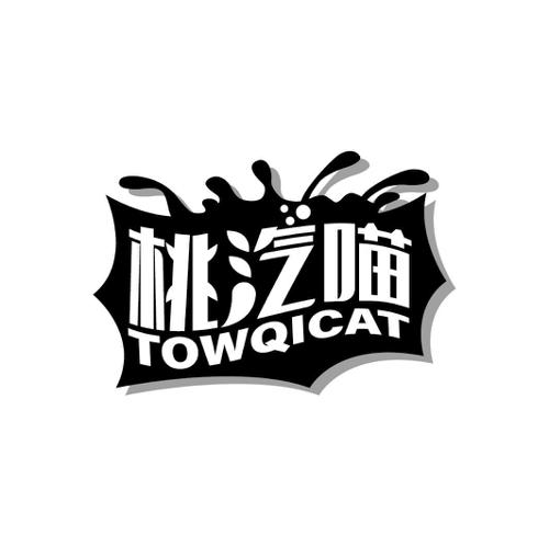 桃汽喵TOWQICAT