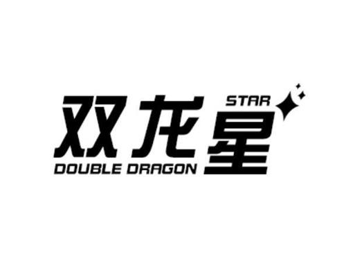 双龙星DOUBLEDRAGONSTAR