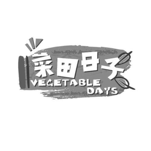 菜田日子VEGETABLEDAYS