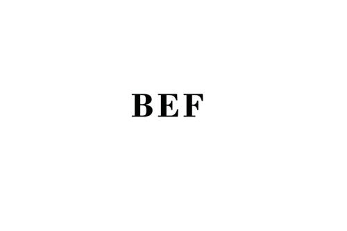 BEF