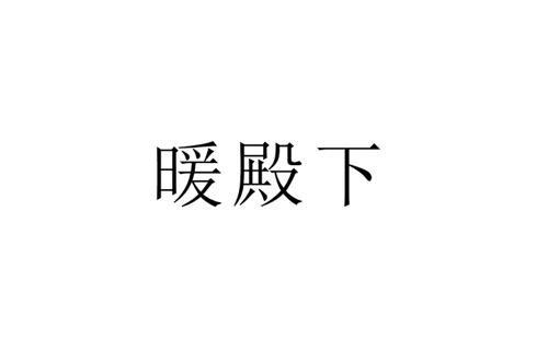 暖殿下