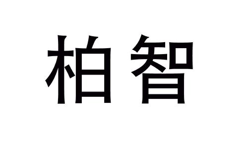 柏智