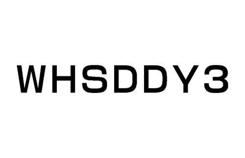 WHSDDY3