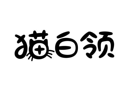 猫白领