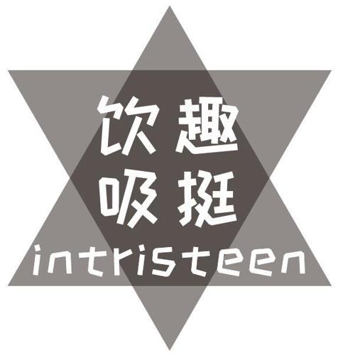 饮趣吸挺INTRISTEEN