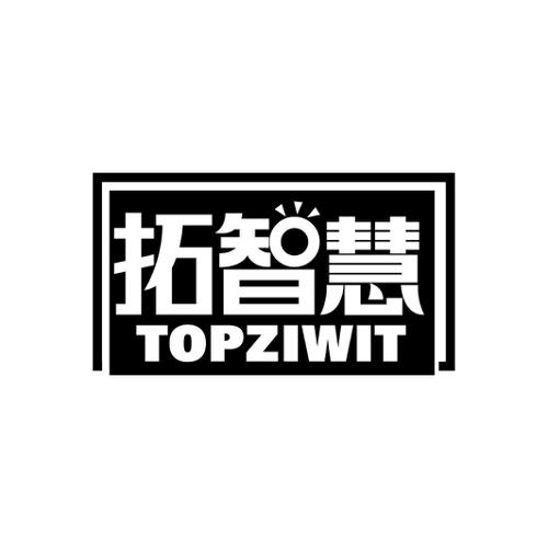 拓智慧TOPZIWIT