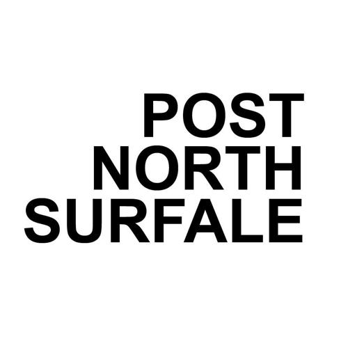 POSTNORTHSURFALE