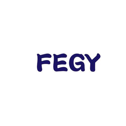 FEGY