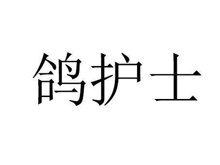 鸽护士