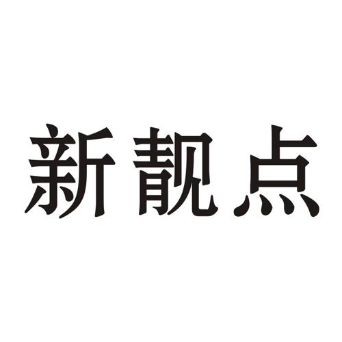 新靓点