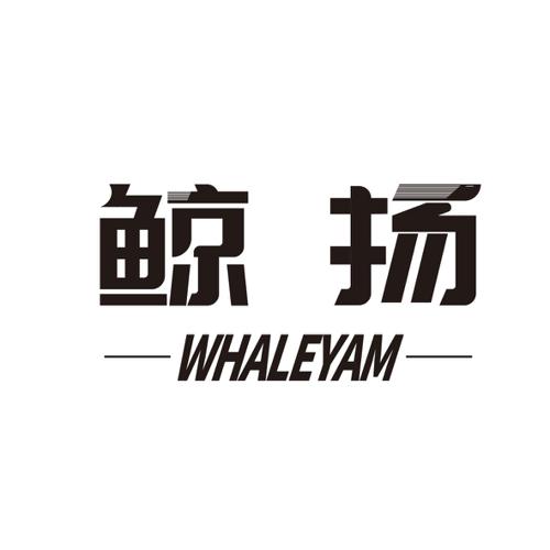 鲸扬WHALEYAM