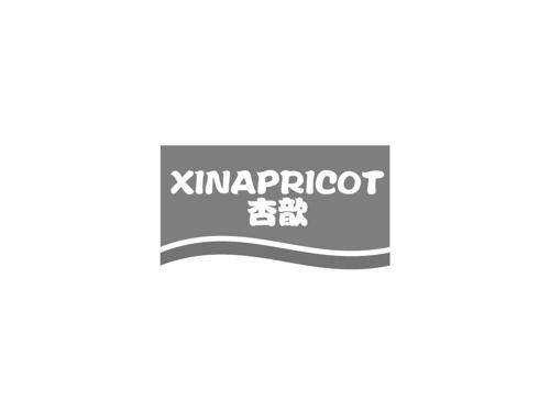 杏歆XINAPRICOT