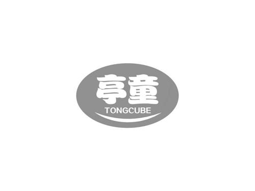 亭童TONGCUBE