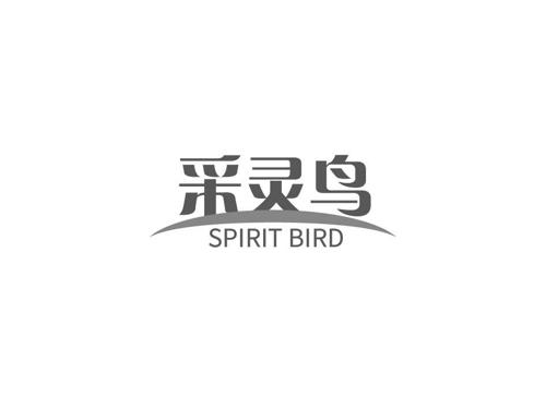 采灵鸟SPIRITBIRD