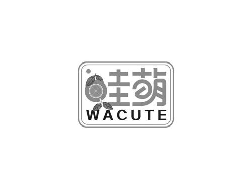 哇萌WACUTE