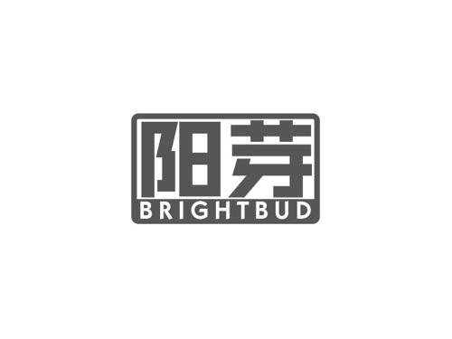 阳芽BRIGHTBUD