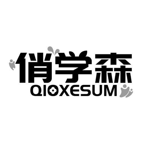 俏学森QIOXESUM