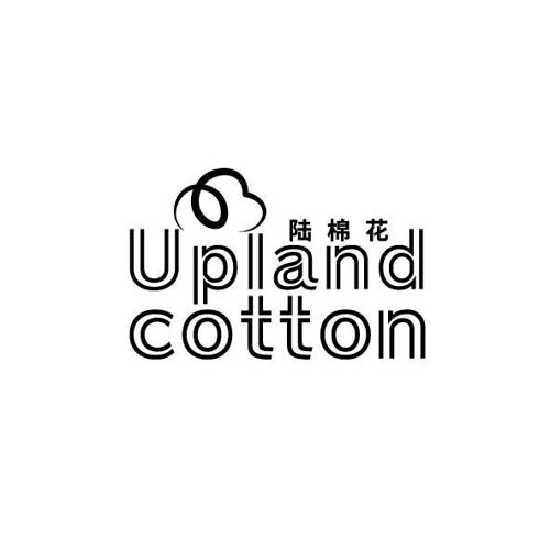 陆棉花UPLANDCOTTON