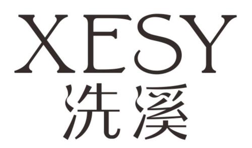 洗溪XESY