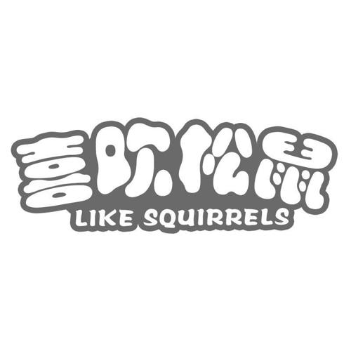 喜欢松鼠LIKESQUIRRELS