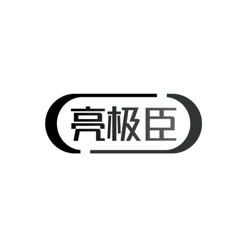 亮极臣